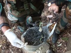 250 Detonators Found, Destroyed In Poonch