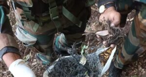250 Detonators Found, Destroyed In Poonch