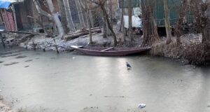 ☑️ Mercury Plunges Again In Kashmir; Pahalgam Shivers At Minus 9.4°C, Srinagar At Minus 5.2°C